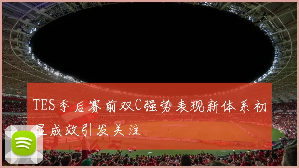 TES季后赛前双C强势表现新体系初显成效引发关注